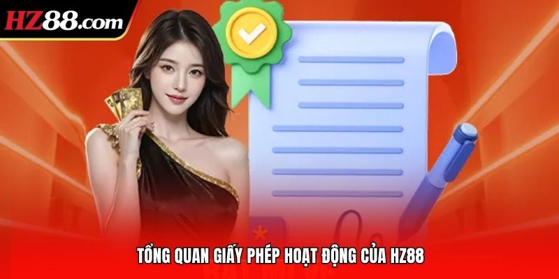 Tổng quan giấy phép hoạt động của HZ88
